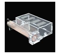 Nid Fourmis Maison Fourmis À 1 Tubes avec Zone d'alimentation Fourmilière Acryl Ant Farm Ferme À Fourmis Insectes Villa Pet Mania pour Fourmis Domestiques (Color : A)