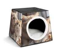 Nid portable pour petits animaux de compagnie, amoureux de chat, motif capsule spatiale, nid pour animal de compagnie, lit pour animal domestique et voyage