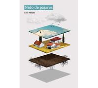Nido de pájaros
