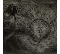 Nidsang - Into the Womb of..