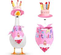 NIEBYI Tenue d'oie « Happy Birthday » avec chapeau de gâteau « Happy Birthday » et bandana, tenues d'oie de cour pour décorations de canard en plastique ciment de 58,4 cm, 43,2 cm (style 1, rose)