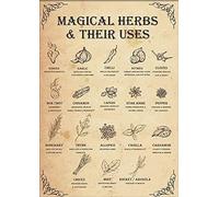 Niekea Magical Herbs And Their Usages Witchy Poster de cuisine Sorcière Art mural Vintage Cuisine Sorcière Sorcière Connaissance Magique Affiche en étain pour homme Cave 20,3 x 30,5 cm Marron