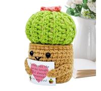 Niesel au Crochet, Cactus Vase au Crochet, décoration en pour Chambre à Coucher, Salon, étagère de Table de Chevet, pièce maîtresse