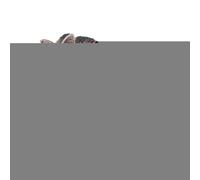 Niesel Figurines de jouets loup | Réaliste animal de la forêt loup brun figures jouet | Figurine jouet animal forêt Jouets d'apprentissage Cake pour les filles 3 ans dans