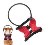 Niesel Halo pour chiens aveugles - Anneau anti-collision réglable pour animaux de compagnie - Anneau de guidage avec rembourrage de protection et collier de protection - Accessoires pour les troubles