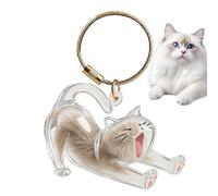 Niesel Souvenir en Poils de Chat Pendentif Portable | pour poils de chat Pour Femmes Et Hommes Vacances Portefeuille Collections Sac À Dos Sac À Main Et Cartable