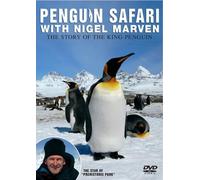 Nigel Marven's Penguins - Nigel Marven's Penguins [Special Edition] [Import anglais]