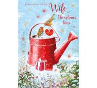 Nigel Quiney Carte de Noël pour femme - Motif rouge-gorge festif et arrosoir - Finition aluminium - Carte de vœux de Noël artistique - Pour elle