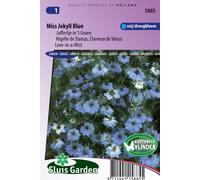 Nigelle de Damas Miss Jekyll Blue (Cheveux de Vénus) - Graines de fleurs annuelles - Environ 1 g | SG5885