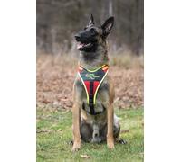 Niggeloh harnais de chien Follow Sport Plus XL
