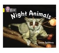 Night Animals by Louise Spilsbury Louise Spilsbury (Auteur)