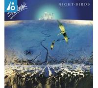 Night Birds Vinyle Or Vinyle