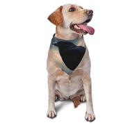 Night Crow Bandana pour chien et chat de petite et moyenne taille, accessoire photo, bandanas triangulaires réglables et lavables