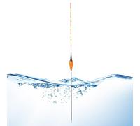 Night Fishing Float, Color Changing Bobber, Glowing Trout Indicator,