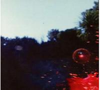 Night Has a Thousand Screams