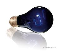 NIGHT HEAT ampoule 75 W