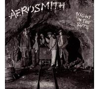 Night In The Ruts