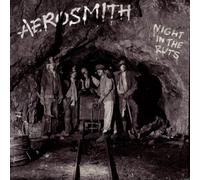 Aerosmith - Night in The Ruts