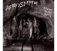 Night in the Ruts by Aerosmith