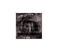 Night In The Ruts CD