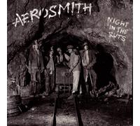 Night In The Ruts Vinyle