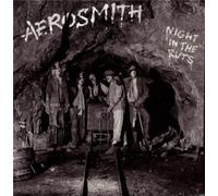 Night In The Ruts Vinyle
