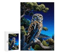 Night Owl Perch Puzzle 300 Pièces Educa Jouet en Bois Cadeau Unique Décoration Intérieure Jeu Éducatif Challenge Toy Adultes Et Enfants À Partir De 14 Ans 300 PCS