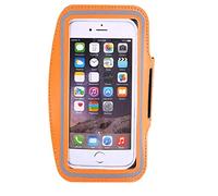 Night Train to Terror