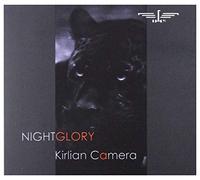 Nightglory