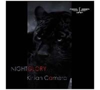 Nightglory