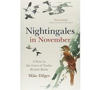 Nightingales in November: A Year in the Lives of Twelve British Birds - [Version Originale] Inconnu (Auteur)
