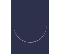 NIGHTS - Five Centuries of Stars, Dreams, Plenilunes