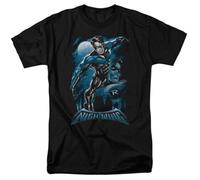 Nightwing All Grown Up T Shirt Comic Book Tee Dick Grayson BlackM