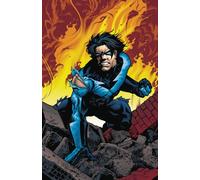 Nightwing Vol. 6: To Serve And Protect