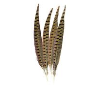 Nihcora Touch of Nature Lot de 4 plumes de faisan à col rond Naturel