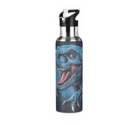 Niigeu Cool Bébés Dinosaures Bleu Bouteille d'eau Isotherme avec Paille en Acier Inoxydable Gourde, Sans BPA Gourdes Eau pour Enfant Sport Randonnée École Bureau (600ml/1L)