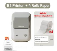 Niimbot B1 imprimante d'étiquettes thermiques sans fil auto-adhésif poche Bluetooth d'étiquettes sans encre pour autocollant d'étiquette de prix professionnel - Type Gray-40x20-4Rolls