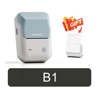 NIIMBOT B1 imprimante thermique Portable avec bandes 2 pouces imprimante d'étiquettes adhésives Mini Bluetooth d'autocollants Support Smartphones PC - Type B1-Light Blue