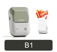 NIIMBOT B21/B1 imprimante thermique Portable 1500mAh imprimante d'autocollants sans fil avec étiquettes auto-adhésives pour codes à barres vêtements bijoux - Type B1-Light Green