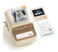 NIIMBOT B21 Pro Étiqueteuse, imprimante d'étiquettes thermique HD 300 DPI, machine d'étiquettes Bluetooth avec étiquette de 5,3 x 8,1 cm pour scrapbooking, bricolage, notes, mémos
