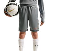 Nike Academy Short Jr Gris Foncé 137-147