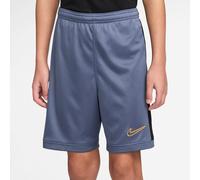 Nike Academy Shorts Juniors Diffus Blu/Gold 11-12 (L) Unisex