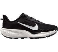 Nike ACG Pegasus Trail Chaussures de trail 40 Noir