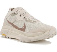 Nike ACG Zegama Gris/argent 43