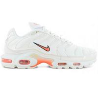 Nike air max plus TN - Phantom - Hommes Sneaker Chaussures DM0032-019 Baskets