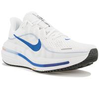 Nike Winflo 12 Homme 45