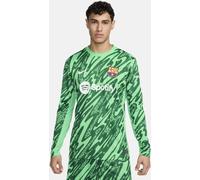Maillot à manches longues replica Nike Football FC Barcelone 2024/25 Stadium Gardien de but pour homme Green Spark/Green Spark/Pine Green/Blanc S