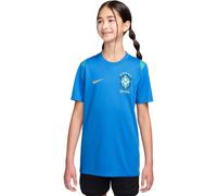 Nike Brésil Academy Pro Haut Jr Coupe du Monde 26 Bleu/Vert 122-128
