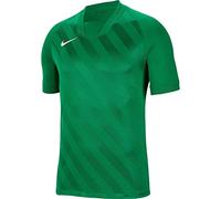 Nike Challenge III Jersey SS Maillot Mixte Enfant, Vert pin/Vert pin/Blanc, FR : M (Taille Fabricant : M)