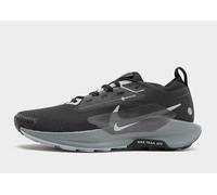 Nike Chaussures de trail Pegasus Trail 5 GORE-TEX Homme - Noir 43
